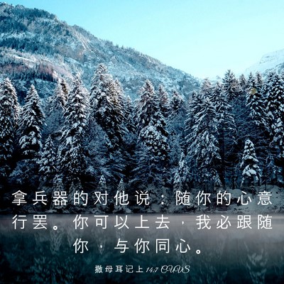 Picture 03 - 撒 母 耳 记 上 14:7 CUVS - 拿 兵 器 的 对 他 说 ： 随 你 的 心 - Bible Verse Picture