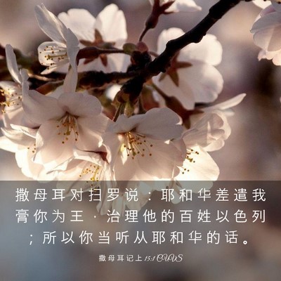 Picture 03 - 撒 母 耳 记 上 15:1 CUVS - 撒 母 耳 对 扫 罗 说 ： 耶 和 华 差 - Bible Verse Picture
