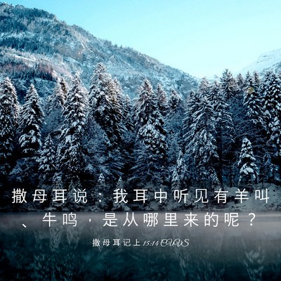 Picture 03 - 撒 母 耳 记 上 15:14 CUVS - 撒 母 耳 说 ： 我 耳 中 听 见 有 羊 - Bible Verse Picture