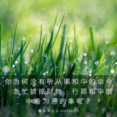 Picture 03 - 撒 母 耳 记 上 15:19 CUVS - 你 为 何 没 有 听 从 耶 和 华 的 命 - Bible Verse Picture