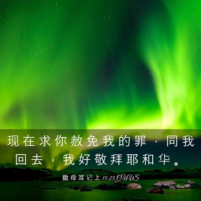Picture 03 - 撒 母 耳 记 上 15:25 CUVS - 现 在 求 你 赦 免 我 的 罪 ， 同 我 - Bible Verse Picture