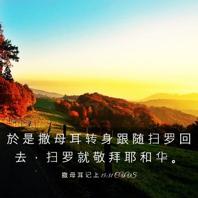 Picture 03 - 撒 母 耳 记 上 15:31 CUVS - 於 是 撒 母 耳 转 身 跟 随 扫 罗 回 - Bible Verse Picture