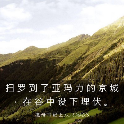 Picture 03 - 撒 母 耳 记 上 15:5 CUVS - 扫 罗 到 了 亚 玛 力 的 京 城 ， 在 - Bible Verse Picture