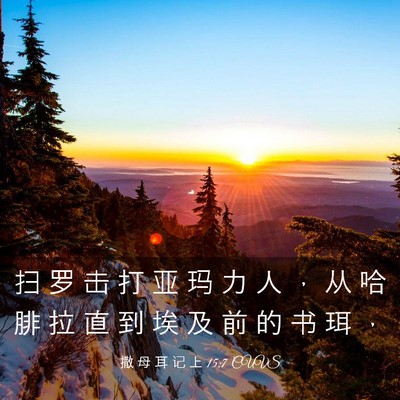 Picture 03 - 撒 母 耳 记 上 15:7 CUVS - 扫 罗 击 打 亚 玛 力 人 ， 从 哈 腓 - Bible Verse Picture