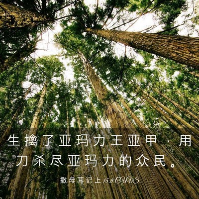 Picture 03 - 撒 母 耳 记 上 15:8 CUVS - 生 擒 了 亚 玛 力 王 亚 甲 ， 用 刀 - Bible Verse Picture