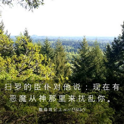 Picture 03 - 撒 母 耳 记 上 16:15 CUVS - 扫 罗 的 臣 仆 对 他 说 ： 现 在 有 - Bible Verse Picture