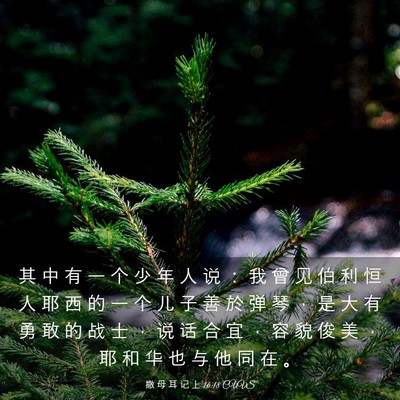 Picture 03 - 撒 母 耳 记 上 16:18 CUVS - 其 中 有 一 个 少 年 人 说 ： 我 曾 - Bible Verse Picture