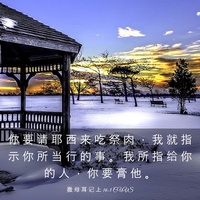 Picture 03 - 撒 母 耳 记 上 16:3 CUVS - 你 要 请 耶 西 来 吃 祭 肉 ， 我 就 - Bible Verse Picture