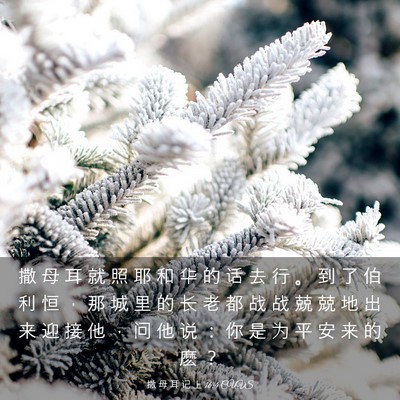 Picture 03 - 撒 母 耳 记 上 16:4 CUVS - 撒 母 耳 就 照 耶 和 华 的 话 去 行 - Bible Verse Picture