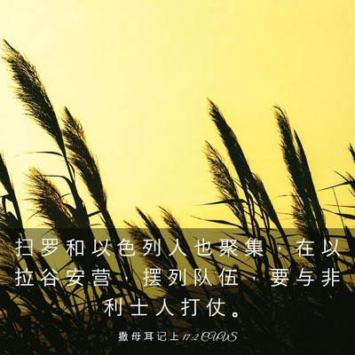 Picture 03 - 撒 母 耳 记 上 17:2 CUVS - 扫 罗 和 以 色 列 人 也 聚 集 ， 在 - Bible Verse Picture