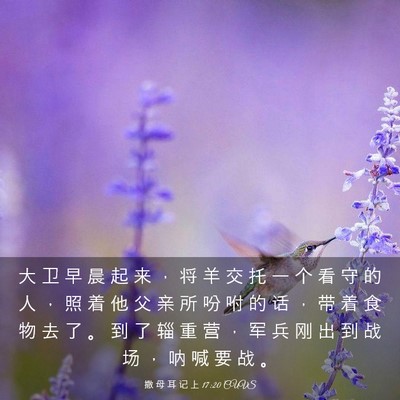 Picture 03 - 撒 母 耳 记 上 17:20 CUVS - 大 卫 早 晨 起 来 ， 将 羊 交 托 一 - Bible Verse Picture