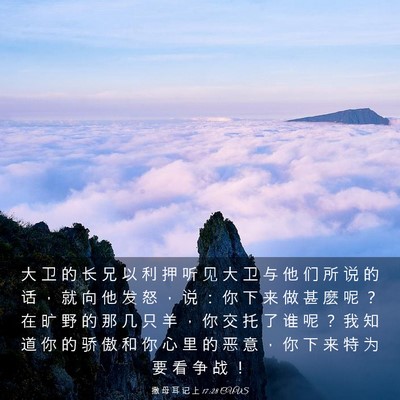 Picture 03 - 撒 母 耳 记 上 17:28 CUVS - 大 卫 的 长 兄 以 利 押 听 见 大 卫 - Bible Verse Picture