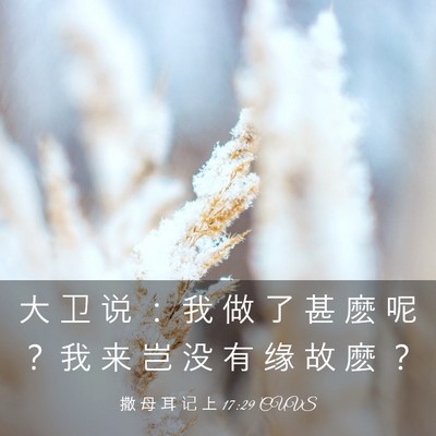 Picture 03 - 撒 母 耳 记 上 17:29 CUVS - 大 卫 说 ： 我 做 了 甚 麽 呢 ？ 我 - Bible Verse Picture