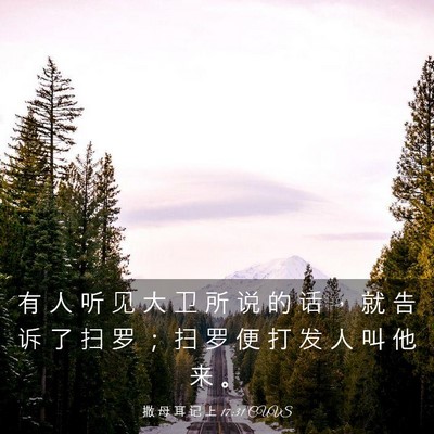 Picture 03 - 撒 母 耳 记 上 17:31 CUVS - 有 人 听 见 大 卫 所 说 的 话 ， 就 - Bible Verse Picture