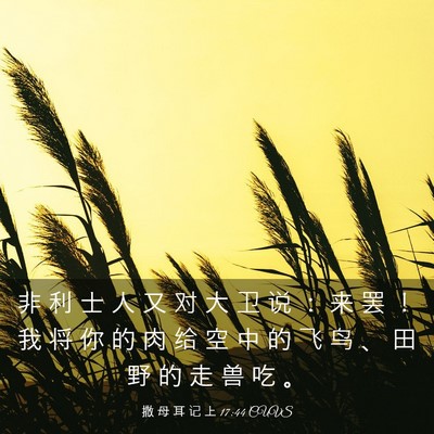 Picture 03 - 撒 母 耳 记 上 17:44 CUVS - 非 利 士 人 又 对 大 卫 说 ： 来 罢 - Bible Verse Picture