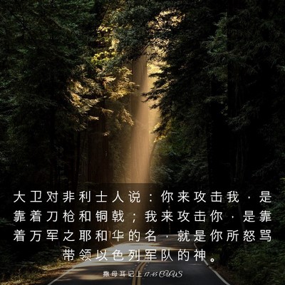 Picture 03 - 撒 母 耳 记 上 17:45 CUVS - 大 卫 对 非 利 士 人 说 ： 你 来 攻 - Bible Verse Picture