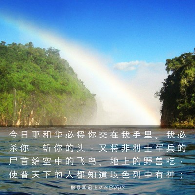 Picture 03 - 撒 母 耳 记 上 17:46 CUVS - 今 日 耶 和 华 必 将 你 交 在 我 手 - Bible Verse Picture