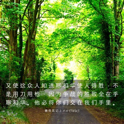 Picture 03 - 撒 母 耳 记 上 17:47 CUVS - 又 使 这 众 人 知 道 耶 和 华 使 人 - Bible Verse Picture