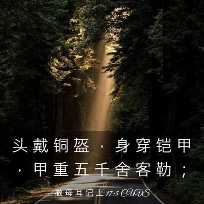 Picture 03 - 撒 母 耳 记 上 17:5 CUVS - 头 戴 铜 盔 ， 身 穿 铠 甲 ， 甲 重 - Bible Verse Picture