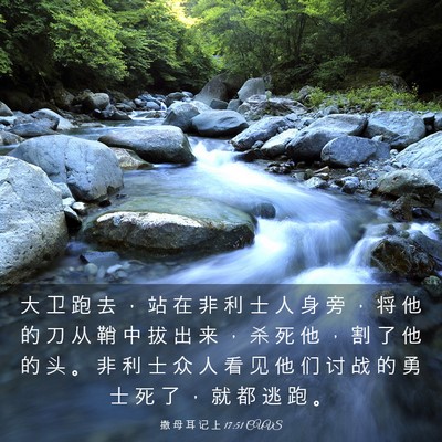 Picture 03 - 撒 母 耳 记 上 17:51 CUVS - 大 卫 跑 去 ， 站 在 非 利 士 人 身 - Bible Verse Picture
