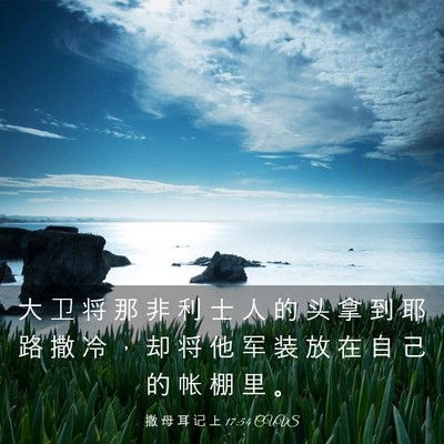 Picture 03 - 撒 母 耳 记 上 17:54 CUVS - 大 卫 将 那 非 利 士 人 的 头 拿 到 - Bible Verse Picture