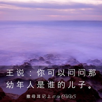 Picture 03 - 撒 母 耳 记 上 17:56 CUVS - 王 说 ： 你 可 以 问 问 那 幼 年 人 - Bible Verse Picture
