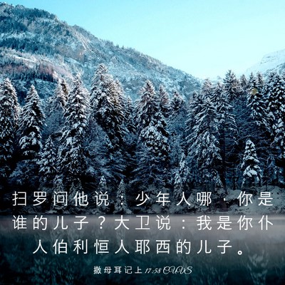 Picture 03 - 撒 母 耳 记 上 17:58 CUVS - 扫 罗 问 他 说 ： 少 年 人 哪 ， 你 - Bible Verse Picture