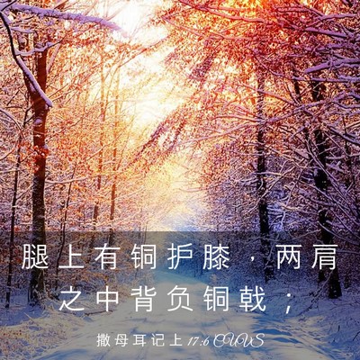 Picture 03 - 撒 母 耳 记 上 17:6 CUVS - 腿 上 有 铜 护 膝 ， 两 肩 之 中 背 - Bible Verse Picture