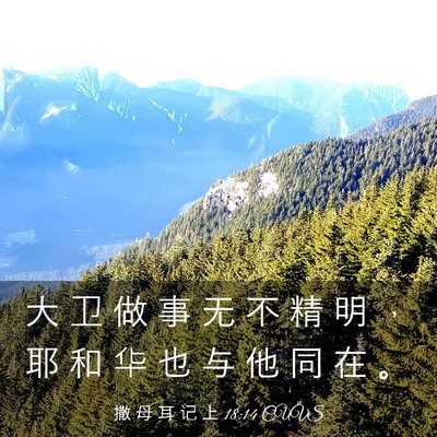 Picture 03 - 撒 母 耳 记 上 18:14 CUVS - 大 卫 做 事 无 不 精 明 ， 耶 和 华 - Bible Verse Picture