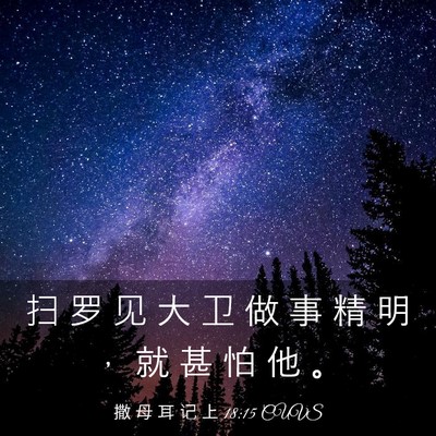 Picture 03 - 撒 母 耳 记 上 18:15 CUVS - 扫 罗 见 大 卫 做 事 精 明 ， 就 甚 - Bible Verse Picture