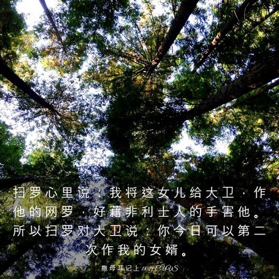 Picture 03 - 撒 母 耳 记 上 18:21 CUVS - 扫 罗 心 里 说 ： 我 将 这 女 儿 给 - Bible Verse Picture