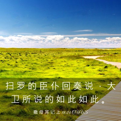 Picture 03 - 撒 母 耳 记 上 18:24 CUVS - 扫 罗 的 臣 仆 回 奏 说 ， 大 卫 所 - Bible Verse Picture
