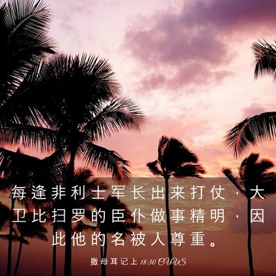 Picture 03 - 撒 母 耳 记 上 18:30 CUVS - 每 逢 非 利 士 军 长 出 来 打 仗 ， - Bible Verse Picture