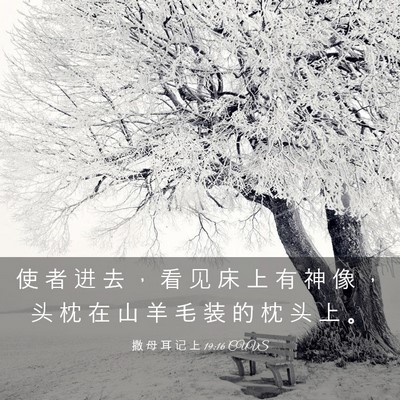 Picture 03 - 撒 母 耳 记 上 19:16 CUVS - 使 者 进 去 ， 看 见 床 上 有 神 像 - Bible Verse Picture