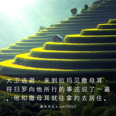 Picture 03 - 撒 母 耳 记 上 19:18 CUVS - 大 卫 逃 避 ， 来 到 拉 玛 见 撒 母 - Bible Verse Picture