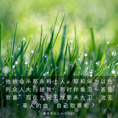 Picture 03 - 撒 母 耳 记 上 19:5 CUVS - 他 拚 命 杀 那 非 利 士 人 ， 耶 和 - Bible Verse Picture