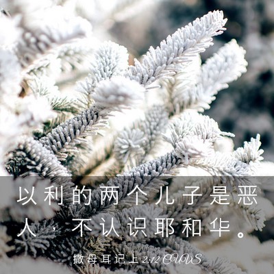 Picture 03 - 撒 母 耳 记 上 2:12 CUVS - 以 利 的 两 个 儿 子 是 恶 人 ， 不 - Bible Verse Picture