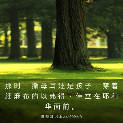 Picture 03 - 撒 母 耳 记 上 2:18 CUVS - 那 时 ， 撒 母 耳 还 是 孩 子 ， 穿 - Bible Verse Picture