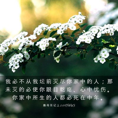 Picture 03 - 撒 母 耳 记 上 2:33 CUVS - 我 必 不 从 我 坛 前 灭 尽 你 家 中 - Bible Verse Picture