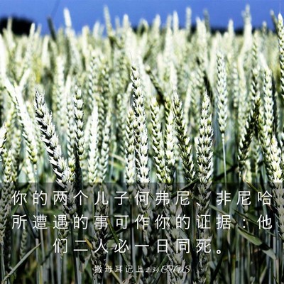 Picture 03 - 撒 母 耳 记 上 2:34 CUVS - 你 的 两 个 儿 子 何 弗 尼 、 非 尼 - Bible Verse Picture