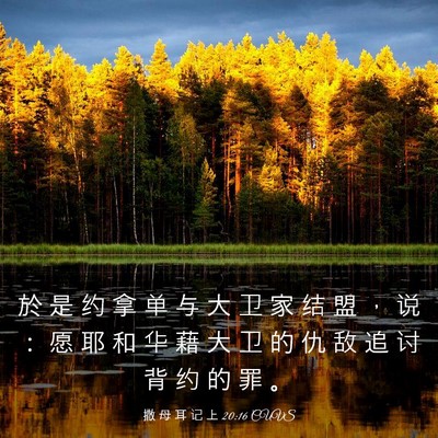 Picture 03 - 撒 母 耳 记 上 20:16 CUVS - 於 是 约 拿 单 与 大 卫 家 结 盟 ， - Bible Verse Picture