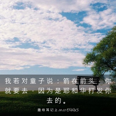 Picture 03 - 撒 母 耳 记 上 20:22 CUVS - 我 若 对 童 子 说 ： 箭 在 前 头 ， - Bible Verse Picture