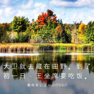 Picture 03 - 撒 母 耳 记 上 20:24 CUVS - 大 卫 就 去 藏 在 田 野 。 到 了 初 - Bible Verse Picture
