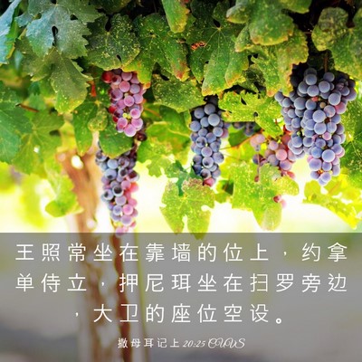 Picture 03 - 撒 母 耳 记 上 20:25 CUVS - 王 照 常 坐 在 靠 墙 的 位 上 ， 约 - Bible Verse Picture