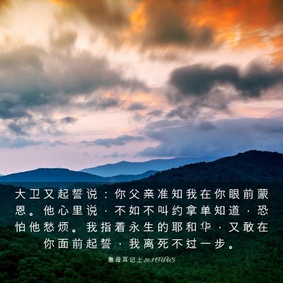 Picture 03 - 撒 母 耳 记 上 20:3 CUVS - 大 卫 又 起 誓 说 ： 你 父 亲 准 知 - Bible Verse Picture