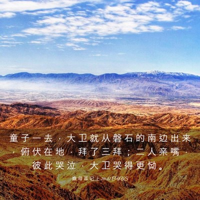 Picture 03 - 撒 母 耳 记 上 20:41 CUVS - 童 子 一 去 ， 大 卫 就 从 磐 石 的 - Bible Verse Picture