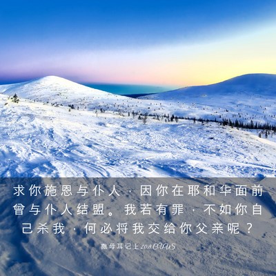 Picture 03 - 撒 母 耳 记 上 20:8 CUVS - 求 你 施 恩 与 仆 人 ， 因 你 在 耶 - Bible Verse Picture