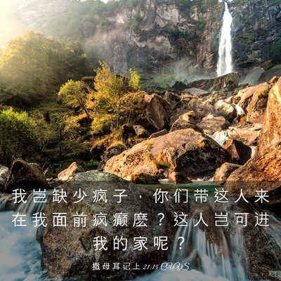 Picture 03 - 撒 母 耳 记 上 21:15 CUVS - 我 岂 缺 少 疯 子 ， 你 们 带 这 人 - Bible Verse Picture
