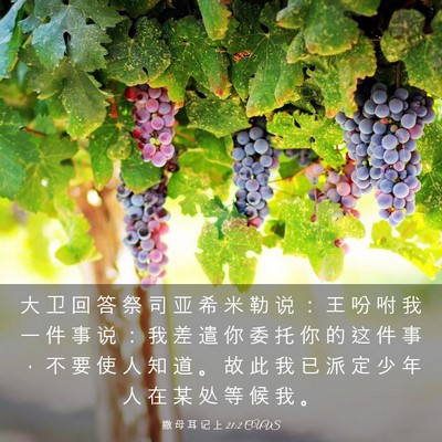 Picture 03 - 撒 母 耳 记 上 21:2 CUVS - 大 卫 回 答 祭 司 亚 希 米 勒 说 ： - Bible Verse Picture