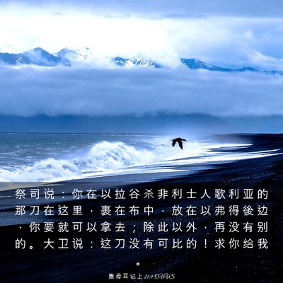Picture 03 - 撒 母 耳 记 上 21:9 CUVS - 祭 司 说 ： 你 在 以 拉 谷 杀 非 利 - Bible Verse Picture